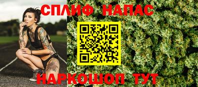 спайс Гагарин