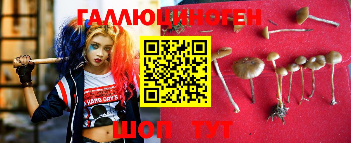 Галлюциногенные грибы прущие грибы Скопин